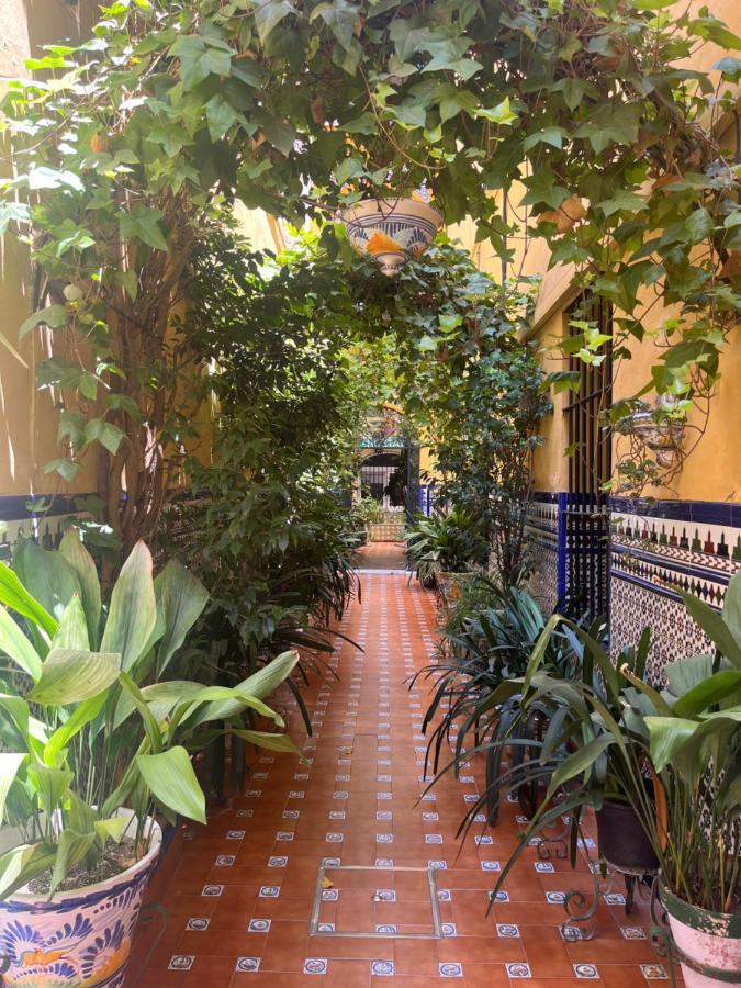 Hostal Atenas Seville Luaran gambar